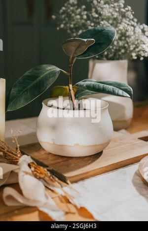 Eine kleine Pflanze sitzt in einem weißen Topf auf einem Holztisch. Der Tisch ist mit einem weißen Tuch und einigen anderen Gegenständen bedeckt, darunter eine Vase und eine Kerze Stockfoto