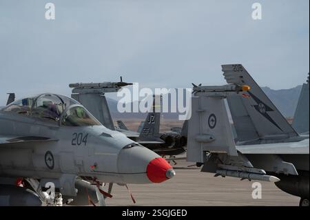 Royal Australian Air Force (RAAF) EA-18G Growlers, der RAAF Base Amberley, Australien, und einer US Air Force F-15C Eagle, die der 159th F zugewiesen wurde Stockfoto