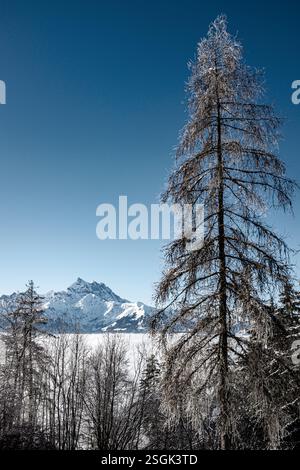 Das Bergmassiv Dents du Midi vom Skigebiet Villars sur Ollon in den Schweizer Alpen Stockfoto