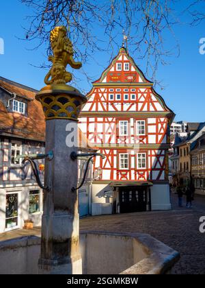 Goldener Löwenbrunnen vor einem traditionellen Fachwerkhaus in idstein, deutschland, an einem sonnigen Wintertag Stockfoto