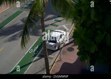 Ein weißes Auto parkt auf einer Straße neben einem Fahrradweg, mit Palmen und Bürgersteig in Sicht, Miami, Florida, USA Stockfoto