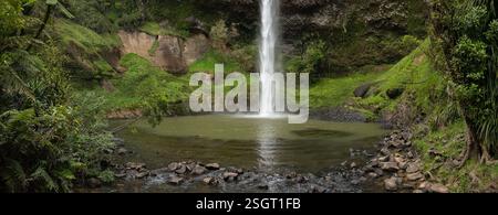 Wasserfall im Wald von Waireinga Reserve. Bridal Veil Falls. Neuseeland. Stockfoto
