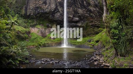 Wasserfall im Wald von Waireinga Reserve. Bridal Veil Falls. Neuseeland. Stockfoto