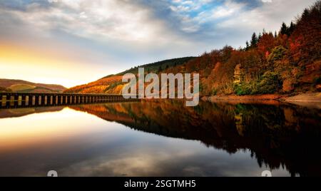 Der Morgen bricht und beleuchtet die herbstlichen Farben in den Bäumen. Ladybower Reservoir Peak District Derbyshire Großbritannien. Stockfoto