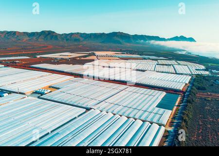 Gewächshäuser im Süden Spaniens in der Nähe von Maro City, Nerja, Malaga, Spanien. Blick von einer Drohne. Stockfoto