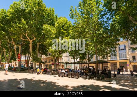 Straßencafés, Allees Paul Riquet, Beziers, Herault, Occitanie, Frankreich, Europa Stockfoto