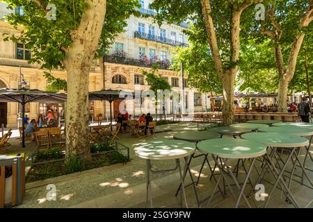 Straßencafés, Allees Paul Riquet, Beziers, Herault, Occitanie, Frankreich, Europa Stockfoto