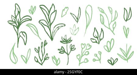 Gras und Blätter Linie Buntstift gezeichnet Set. Frühlingspflanzen kritzeln. Sommerliche Blumenelemente für Kinder. Kreide- oder Pastellkonturen in kindlicher Form. Vektor naiv Stock Vektor