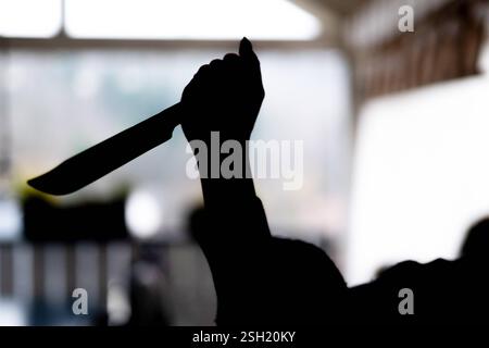 Schatten einer bedrohlichen Silhouette mit Messer 10.02.25, Selters: Symbolfoto, Illustrationsbild, Symbolbild, Illustrationsfoto, Alltagsszene Schatten einer bedrohlichen Silhouette mit Messer dramatische Darstellung einer silhouettierten Person, die ein Messer in der erhobenen Hand halten. Die Szene spielt in einem Innenraum mit unscharfem Hintergrund, was eine bedrohliche und emotionale Atmosphäre schafft. Ideal für Themen wie Kriminalität, Gefahr oder Spannung. . Selters Hessen Deutschland *** Schatten einer bedrohlichen Silhouette mit Messer 10 02 25, Selters Symbol Foto, Illustrationsbild, Sym Stockfoto