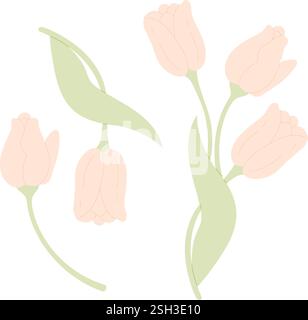 Tulpenkollektion. Isolierte Frühlingsblumen auf weißem Hintergrund. Vektorillustration in Pastellfarben, weich, flach Stock Vektor