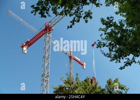 Gruppe von Turmkränen auf der Baustelle zwischen grünen Baumblättern Stockfoto