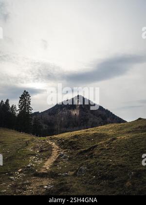 Ein schmaler Feldweg schlängelt sich durch grasbewachsene Hügel zu einem bewaldeten Berggipfel unter einem bewölkten Himmel. Die Szene fängt die friedliche Schönheit der Natur ein Stockfoto