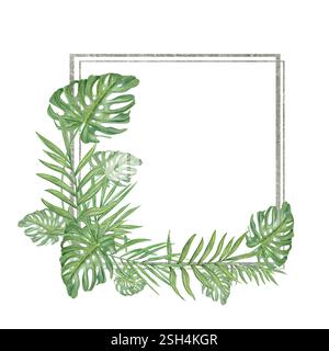 Quadratische Vorlage fr Text mit tropischen Monstera-Palmenblttern. Rahmen  oder Grenzen Sie mit exotischen Pflanzen aus dem Regenwald des Dschungels  an. Isoliert auf weier, realistischer Hand Stockfotografie - Alamy