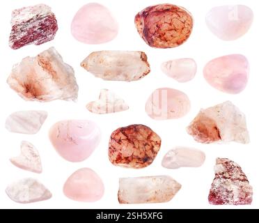 Verschiedene Exemplare ungeschnittener Rosenquarzgesteine auf weißem Hintergrund Stockfoto