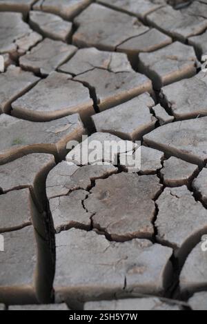 Dürre und Klimawandel. Große Risse im trockenen Landboden. Stockfoto