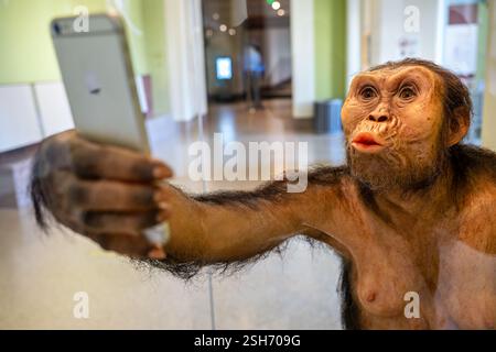 Smithsonian Natural History Museum in Washington DC | WASHINGTON D.C., Vereinigte Staaten – Eine Nahaufnahme von „Lucy Selfie“ zeigt das strukturierte, handgeschnitzte Detail von Elisabeth Daynes's Rekonstruktion Australopithecus afarensis, wie es sich zu fotografieren scheint. Die fossilen Proportionen und die Glasaugen der Figur spiegeln jahrelange forensische und anatomische Forschung zur frühen Hominininanatomie wider. Sie ist dauerhaft im Smithsonian's National Museum of Natural History zu sehen. Stockfoto