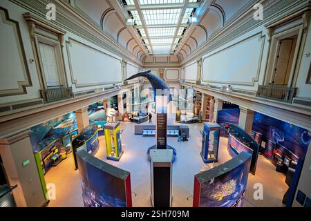 Smithsonian Natural History Museum in Washington DC | WASHINGTON D.C., Vereinigte Staaten – Ein weites Bild der Sant Ocean Hall zeigt das schwebende nordatlantische Rechtwalmodell, das die Galerie des National Museum of Natural History im Meereswissenschaften des Smithsonian verankert. Umliegende Exponate an Korallenriffen, der Dämmerungszone und Ökosystemen im offenen Ozean nehmen den 000 Quadratfuß (2.137 m2) großen Raum unter einer restaurierten Dachdecke ein. Stockfoto