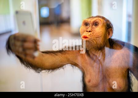 WASHINGTON DC – „Lucy Selfie“ von Elisabeth Daynes präsentiert eine anatomische Rekonstruktion des berühmten Fossils Australopithecus afarensis mit Smartphone. Hergestellt aus Silikon, natürlichem Haar, Yakhaar, Glasaugen und Harz, diese künstlerische Interpretation verbindet Paläoanthropologie mit zeitgenössischem gesellschaftlichem Kommentar. Die Skulptur wird im Smithsonian National Museum of Natural History ausgestellt. Stockfoto