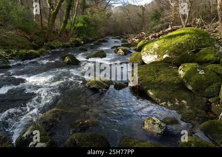 Der Ogwen River entspringt im Lake Ogwen in Snowdonia, ist aber hier in seinem unteren Flusslauf nahe der Halfway Bridge in der Nähe von Tregarth Village zu sehen Stockfoto
