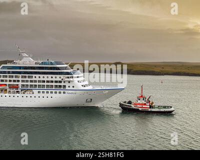 Reykjavík, Island - 22. August 2024: Das Kreuzfahrtschiff Nautica wird am frühen Morgen von einem Schlepper in den Hafen gebracht. Das Schiff wird von Ozeanien betrieben. Stockfoto
