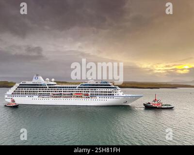 Reykjavík, Island - 22. August 2024: Das Kreuzfahrtschiff Nautica wird am frühen Morgen von einem Schlepper in den Hafen gebracht. Das Schiff wird von Ozeanien betrieben. Stockfoto
