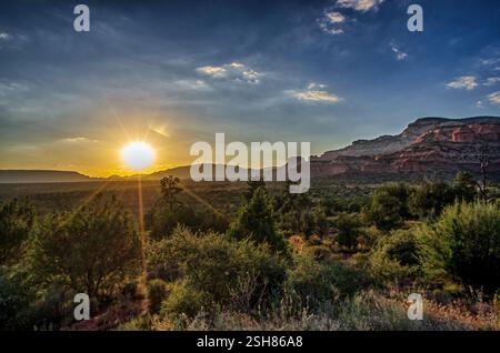Ein goldener Sonnenuntergang erleuchtet die Wüste Arizonas und wirft warmes Licht über grüne Vegetation und entfernte rote Felsformationen unter einem lebendigen Himmel. Stockfoto