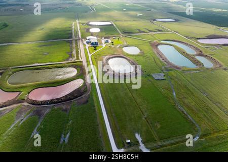 Wasserreservoirs für Kühe, die auf grüner Weidefläche weiden. Trinkende Teiche auf der Freilandfarm. Fütterung von Rindern auf landwirtschaftlichem Grünland Stockfoto