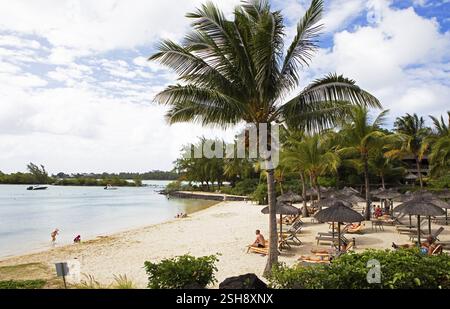 Kokospalmen am Strand am Indischen Ozean in der Nähe von Calodyne, Bezirk Riviere du Rempart, Mauritius, Afrika Stockfoto