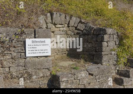 Infotafel im Weinberg, Goeltenstand, Ingelfingen, Kochertal, Kocher, Hohenlohe, Deutschland, Europa Stockfoto