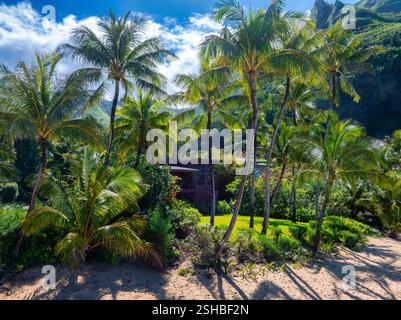 Tropische Palmen und Holzstruktur in der Nähe der Kauai Klippen Stockfoto