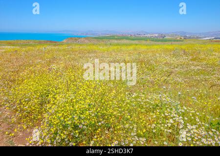 Punta Bianca, Palma di Montechiaro, Agrigento, Sizilien, Italien Stockfoto