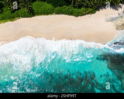 Tropischer Strand mit Palmen. Seychellen, Mahe. Anse Petit Boileau. Stockfoto