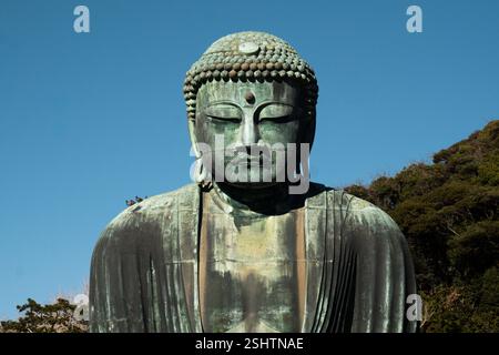 Der große buddha von Kamakura Stockfoto