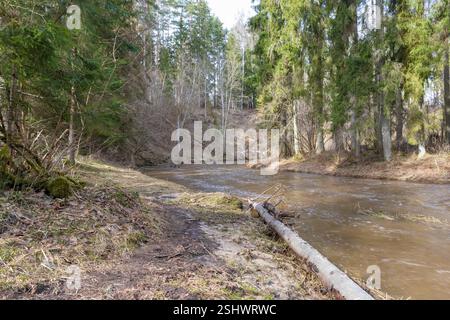 Zeigt eine Landschaft mit einem Fluss, der durch ein bewaldetes Tal fließt, und einem Baumstamm, der am Ufer liegt. Stockfoto