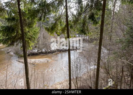 Ein malerischer Blick auf einen Wald mit einem Fluss, der durchfließt. Stockfoto