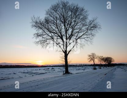 Wiese im Winter mit Person, enorme Leere, heitere, winterliche Atmosphäre Stockfoto