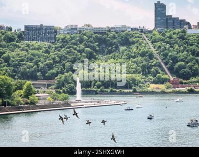 Springbrunnen im Point State Park, wo sich der Monongahela River und der Allegheny River in Pittsburgh, Pennsylvania, treffen. Eine Gruppe von Vögeln fliegt über ein b Stockfoto