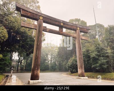 Ein regnerischer Tag in Tokio Meiji Jingu Gyoen, Meiji Park, Japan. Traditionelles japanisches Torii-Tor im Park. Stockfoto