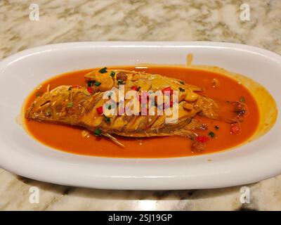 Frisch geschmortes Hähnchen mit grüner Paprika und OrangenKarotten in der Schüssel Stockfoto