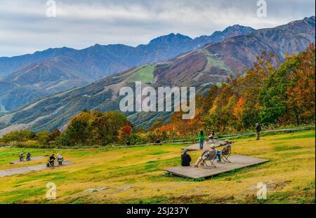 Im Hakuba Iwatake Green Park auf dem Berggipfel befinden sich Bänke im offenen Rasenbereich in Nagano, Japan Stockfoto
