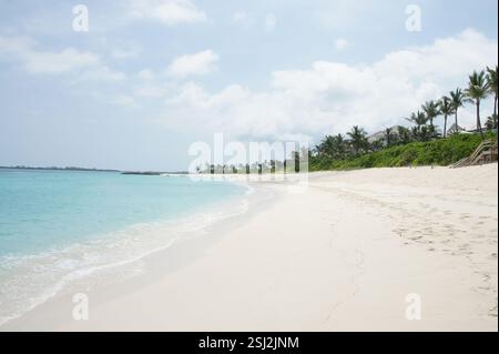 Cabbage Beach, Bahamas. Unberührter weißer Sand dehnt sich in türkisfarbenes Wasser aus. Palmen schwanken vor einem Hintergrund aus blauem Himmel und flauschigen Wolken. Parad Stockfoto
