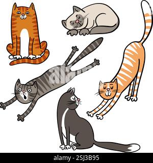 Eine Reihe verschiedener Katzen Stock Vektor