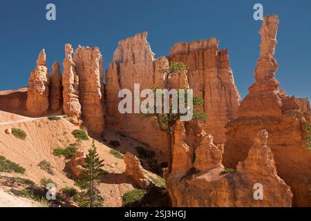 Blick vom Peek-a-Boo Trail Stockfoto