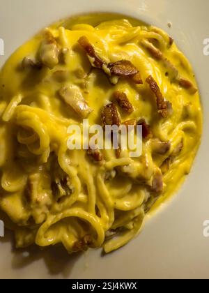 Cremige Carbonara-Pasta mit knusprigen Speckstückchen serviert auf einem weißen Teller, die ein optisch ansprechendes und köstliches kulinarisches Erlebnis schaffen Stockfoto