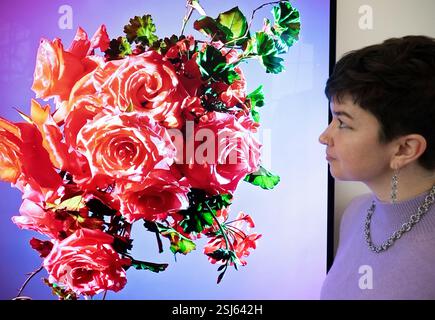 Saatchi Gallery, London, Großbritannien. Februar 2025. BLUMEN, Flora in zeitgenössischer Kunst & Kultur, diese Ausstellung erstreckt sich auf zwei Etagen und über neun große Galerieräume und bietet großformatige Installationen, Originalkunst, Fotografie, Mode, Archivobjekte und grafisches Design, die den anhaltenden Einfluss von Blumen auf Kreativität und menschlichen Ausdruck erforschen. Bild: Stormy Pyeatte (fotografiert), Lucid Suspensions, Serie 2020-2014. Quelle: Malcolm Park/Alamy Live News Stockfoto