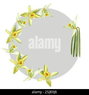 Vanilleorchideenblumen und Bohnen Aquarellrunder grauer Rahmen isoliert auf weißem Hintergrund. Hochwertiges, handgezeichnetes Designelement, perfekt für Gewürze Stockfoto