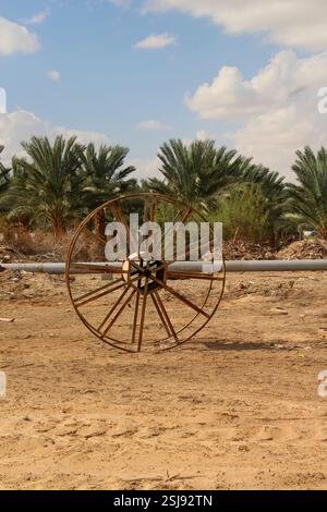 Wüsten-angepasste Landwirtschaft Tropfbewässerungssystem und Rohre fotografiert in der Negev-Wüste, Israel Stockfoto