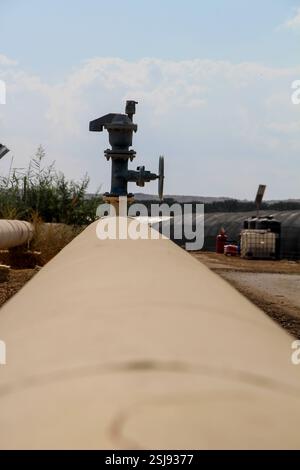Wüsten-angepasste Landwirtschaft Tropfbewässerungssystem und Rohre fotografiert in der Negev-Wüste, Israel Stockfoto