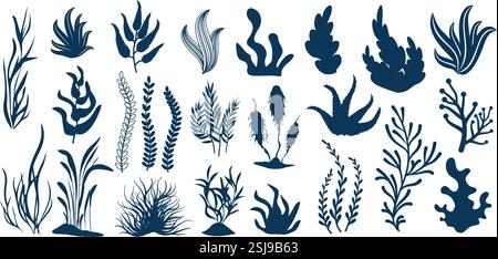 Algen-Silhouetten. Wasserpflanzen, Unterwasserflora Formen von Blättern und Algen zur Dekoration des Aquariums. Isolierter Vektorsatz für Meerespflanzen Stock Vektor