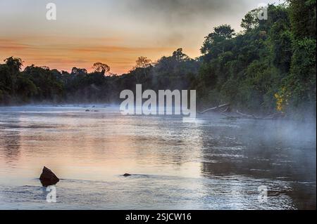 Sonnenaufgang im südlichen Amazonasgebiet (Brasilien) mit dichtem Regenwald rund um den Cristalino River. Stockfoto